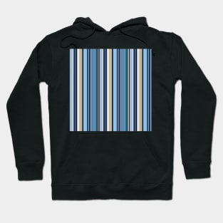 Vertical stripes in harmony of blue color Hoodie